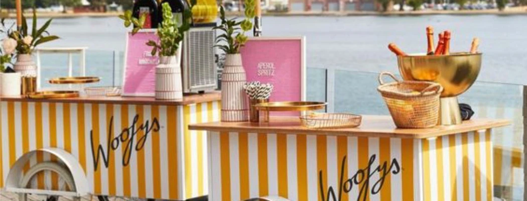 ice cream food cart business